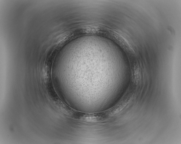 X0000115540228200911201746