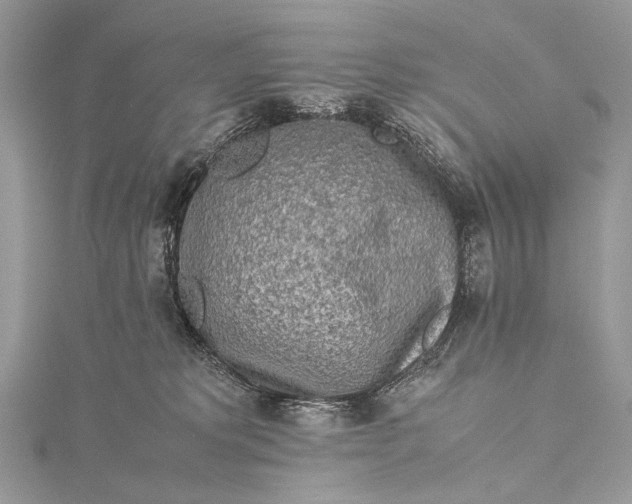 X0000115540229200911201746