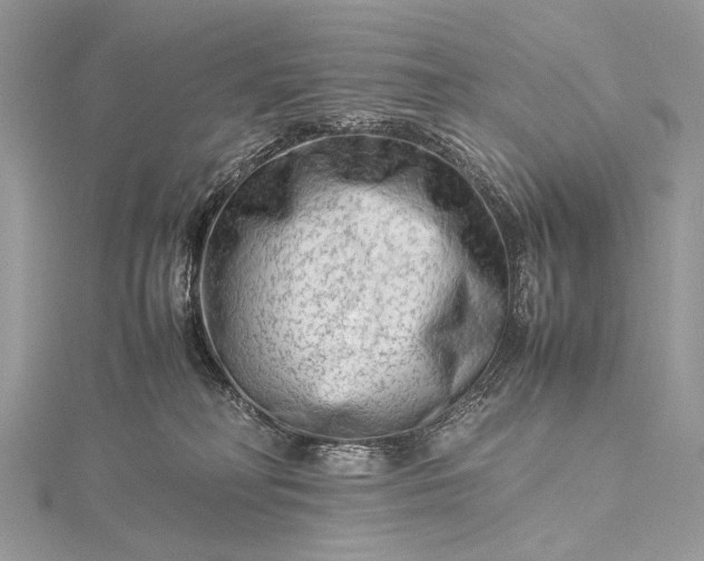 X0000115540230200911201746