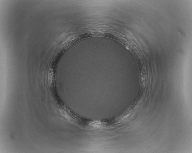 X0000115540231200911201746