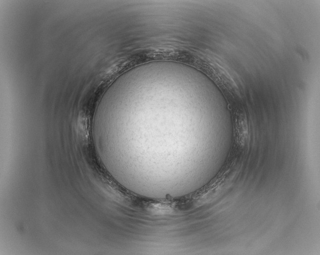 X0000115540232200911201746