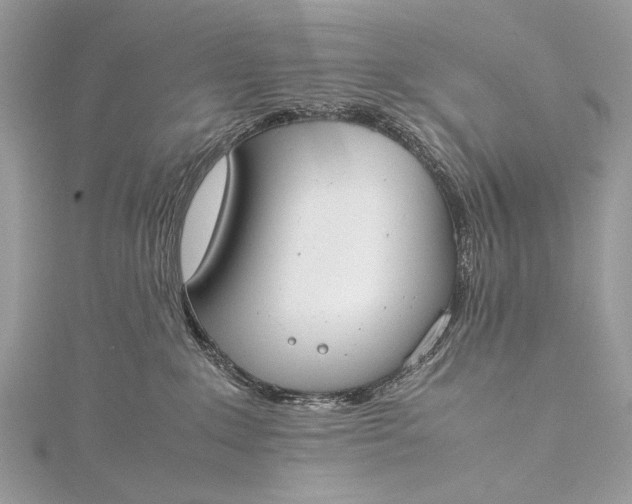 X0000115540235200911201746