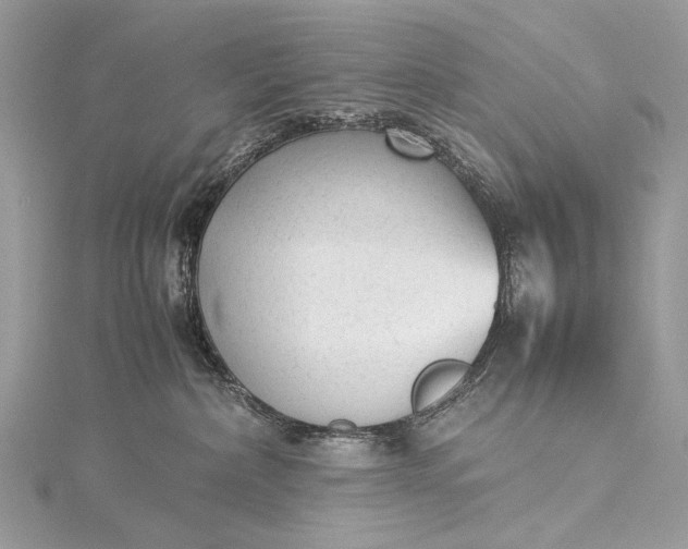 X0000115540236200911201746