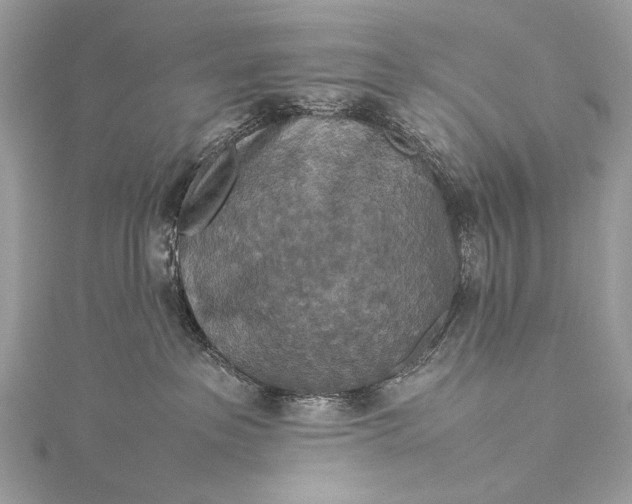 X0000115540237200911201746