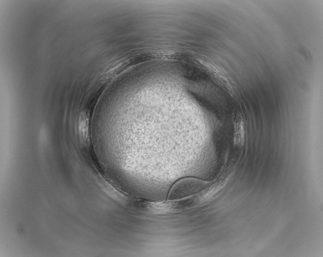 X0000115540238200911201746