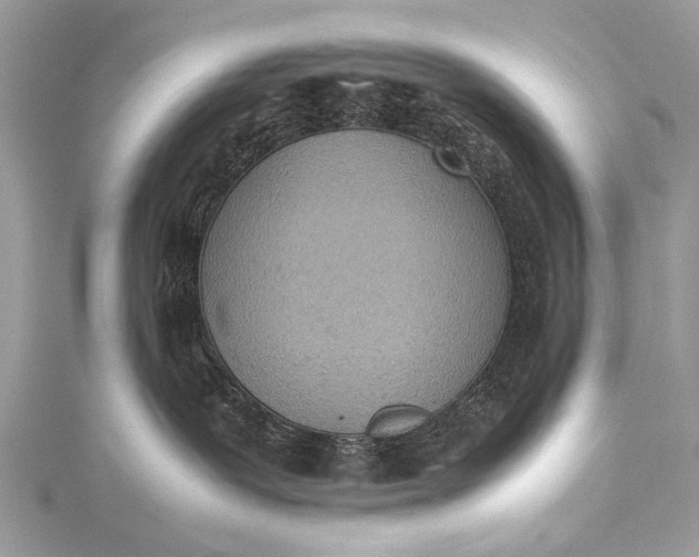 X0000115540239200911201746