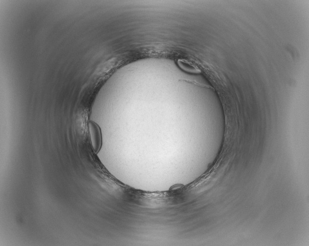 X0000115540240200911201746