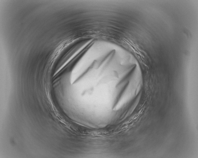 X0000115540241200911201745