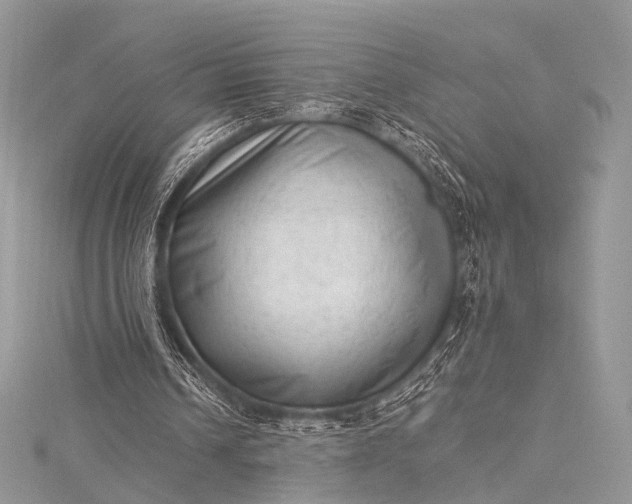 X0000115540242200911201745