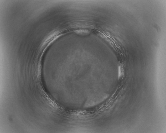 X0000115540243200911201745