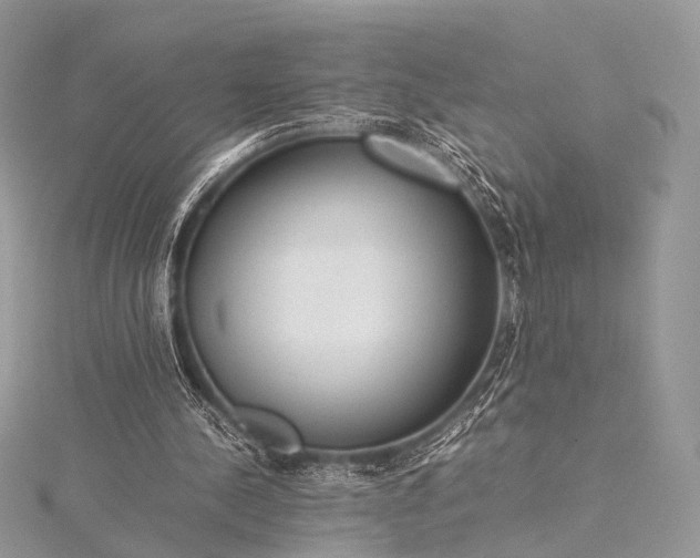 X0000115540244200911201746