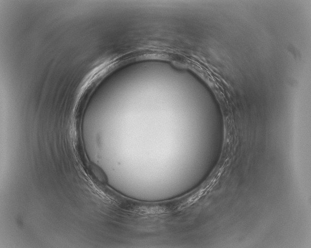 X0000115540245200911201746