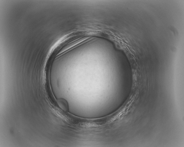 X0000115540246200911201746