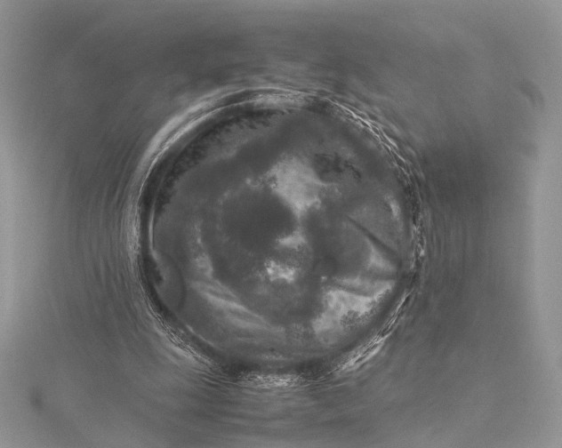 X0000115540247200911201746