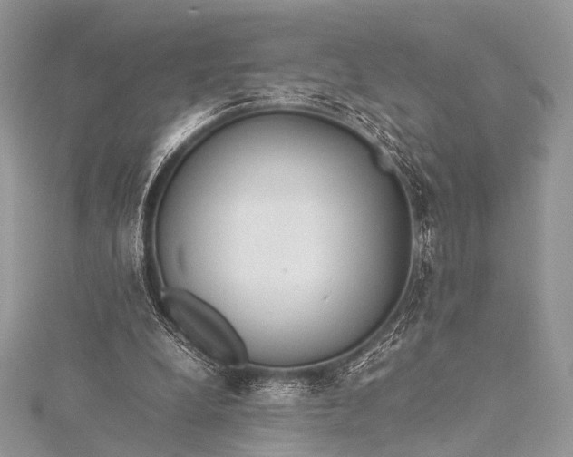 X0000115540248200911201746