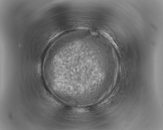 X0000115540249200911201746