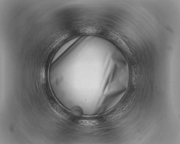 X0000115540251200911201746