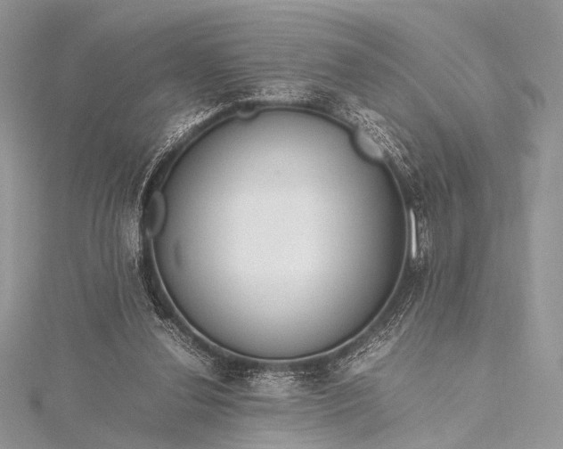 X0000115540252200911201746