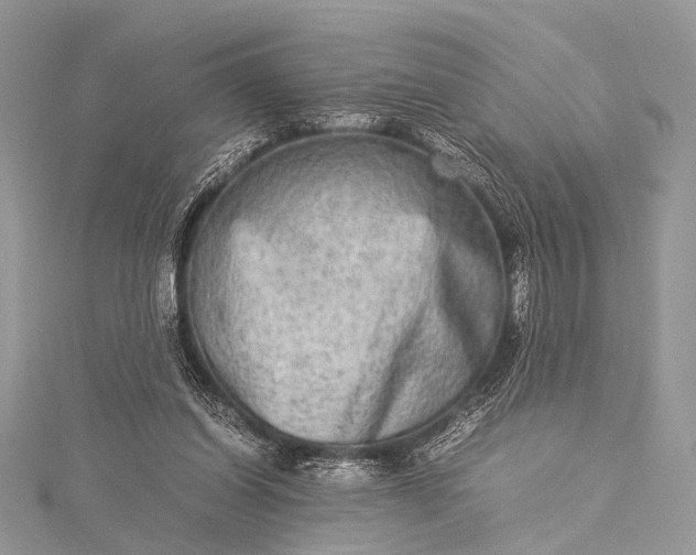 X0000115540254200911201746