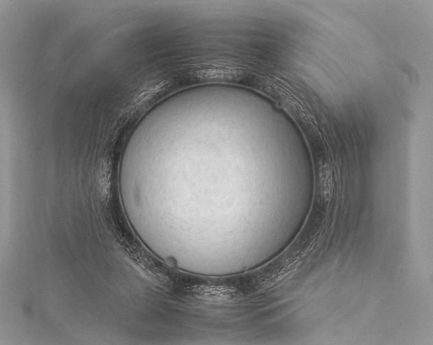 X0000115540255200911201746