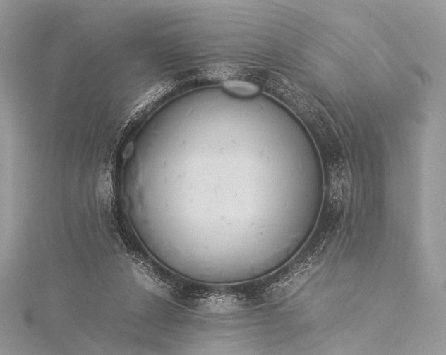 X0000115540256200911201746