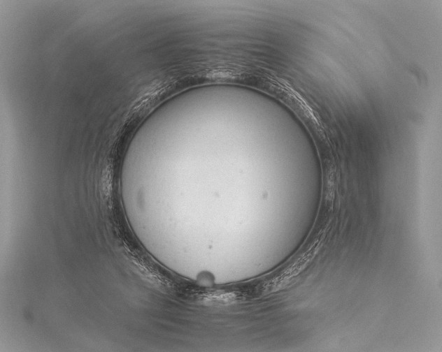 X0000115540257200911201746