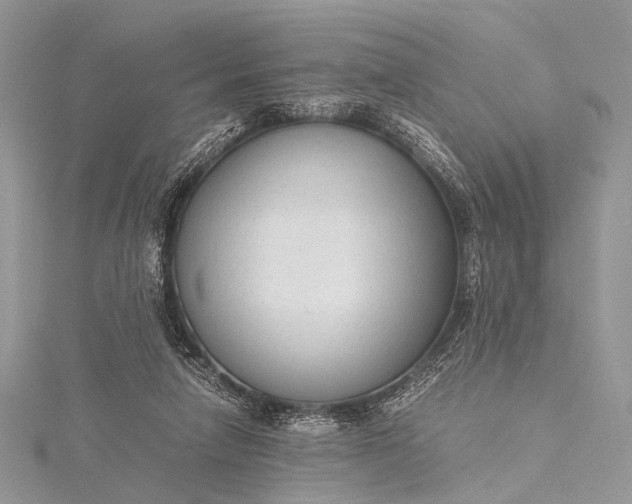 X0000115540258200911201746