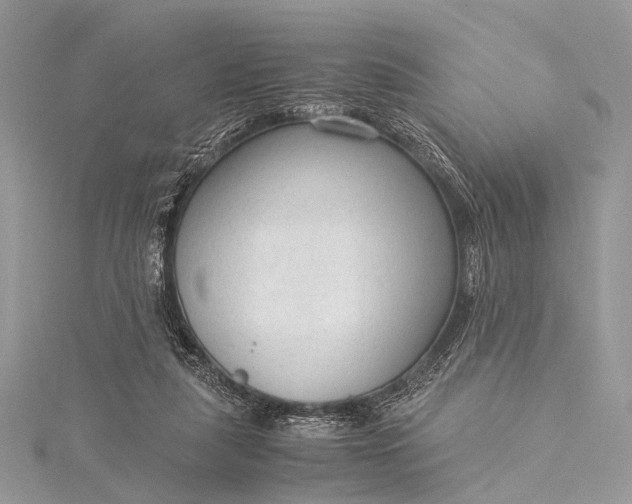 X0000115540259200911201746