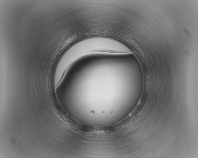 X0000115540260200911201746