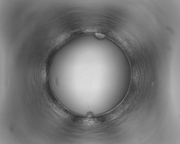 X0000115540261200911201746