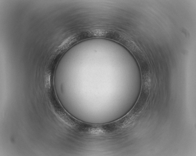 X0000115540262200911201746