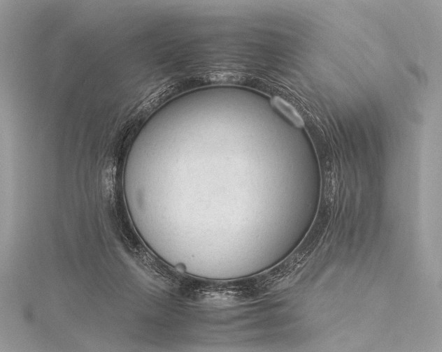 X0000115540263200911201746