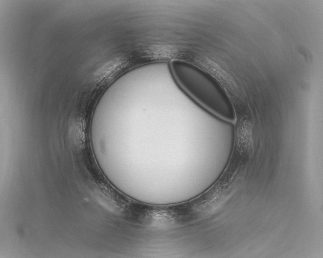 X0000115540264200911201746