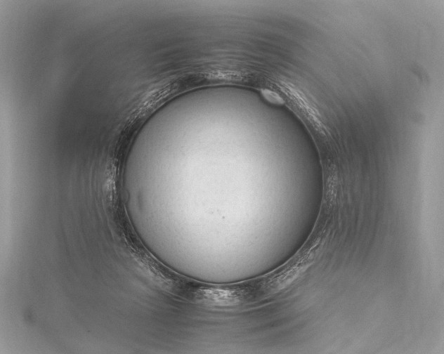 X0000115540265200911201746