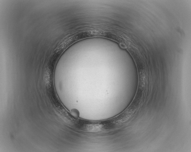 X0000115540266200911201746