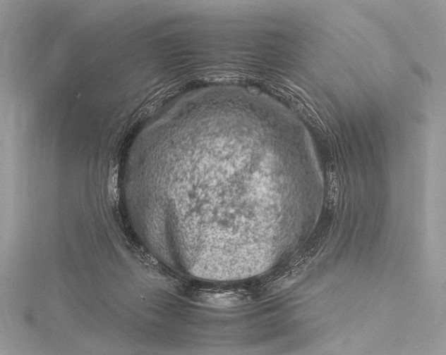 X0000115540267200911201746