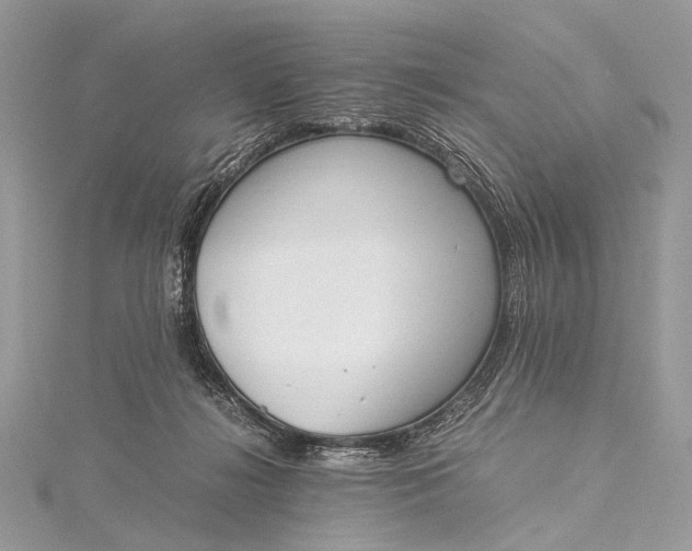 X0000115540268200911201746