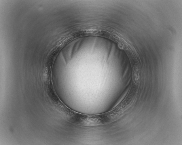 X0000115540270200911201746