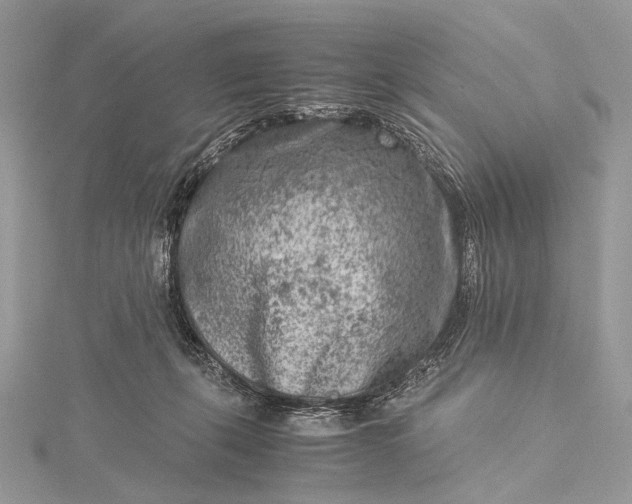 X0000115540271200911201746