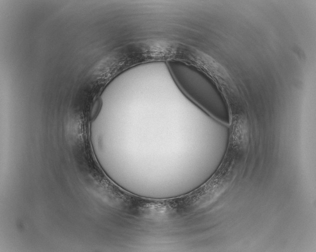 X0000115540272200911201746