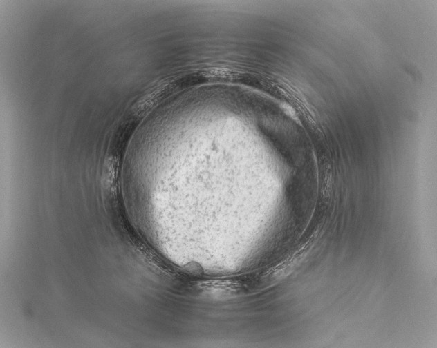 X0000115540273200911201746