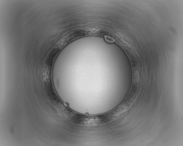 X0000115540274200911201746