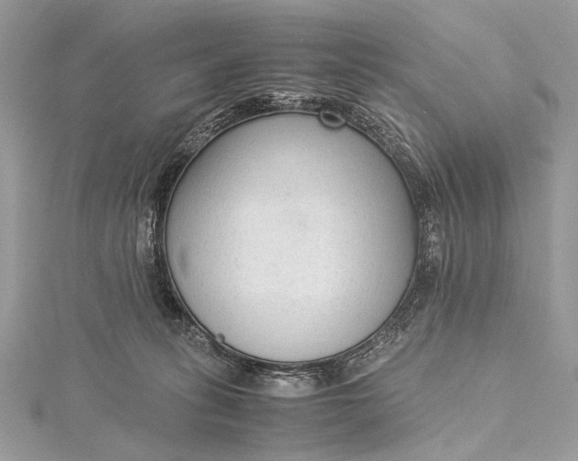 X0000115540275200911201746