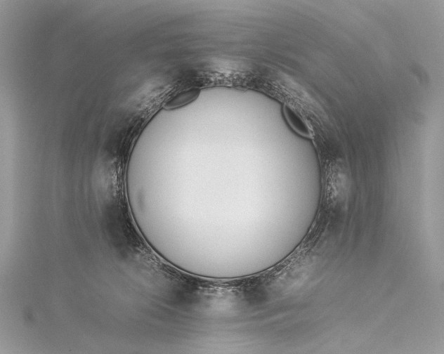 X0000115540276200911201746