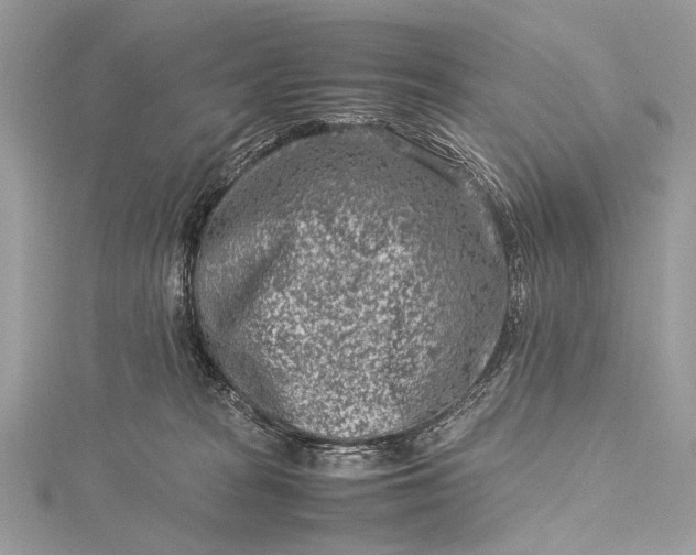 X0000115540277200911201746