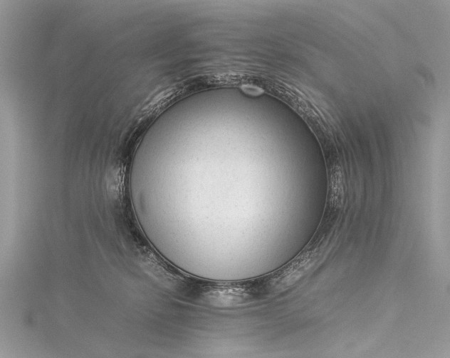 X0000115540278200911201746