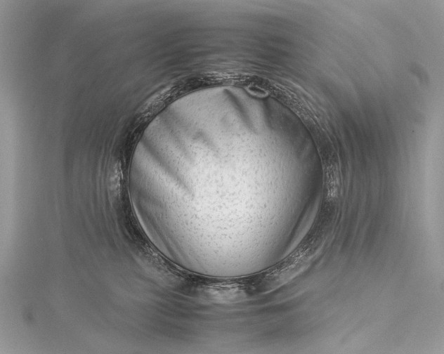 X0000115540279200911201746