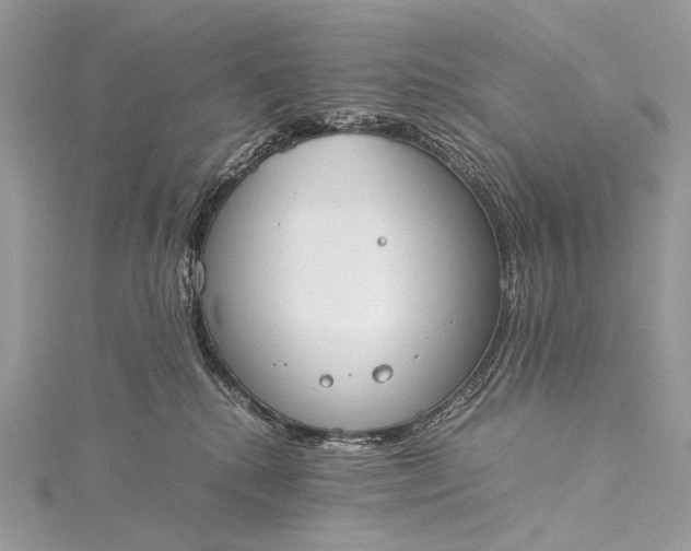 X0000115540280200911201746