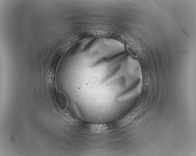 X0000115540281200911201746