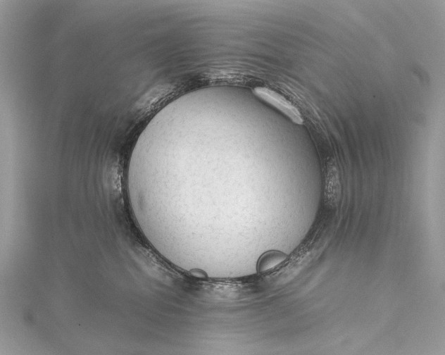 X0000115540282200911201746